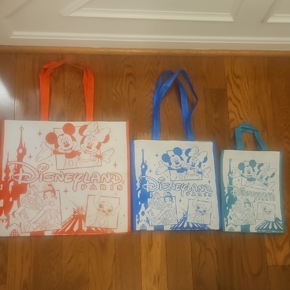 Disneyland Paris Tote Bag Set - Picture 1 of 7